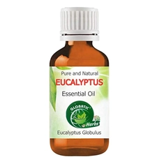 Eucalyptus Essential Oil